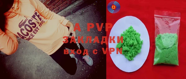 МДПВ Бородино