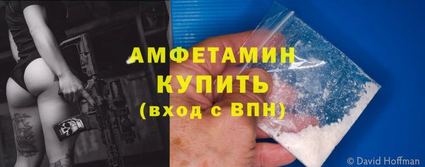 МДПВ Бородино