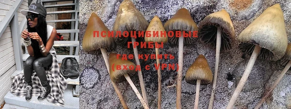 гидра Бугульма