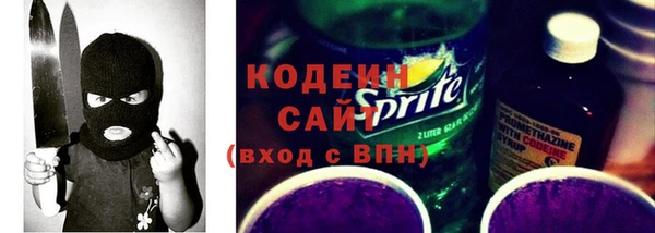 МДПВ Бородино