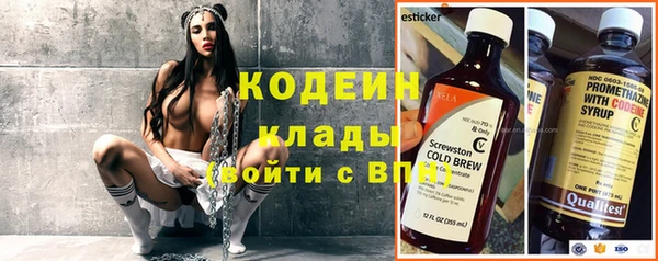 МДПВ Бородино