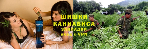 МДПВ Бородино