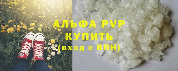 МДПВ Бородино