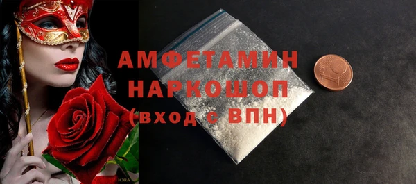 МДПВ Бородино