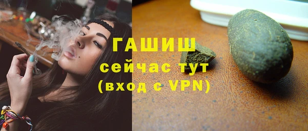 мдпв Богородск