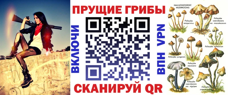 закладка  Пересвет  Галлюциногенные грибы Psilocybe 