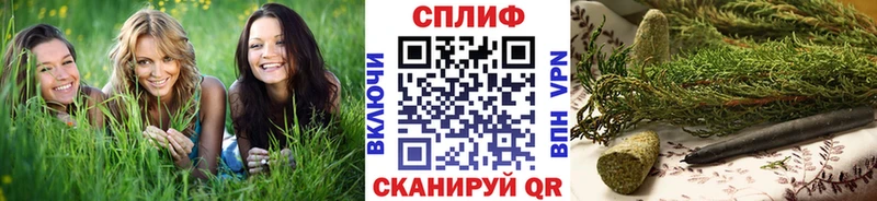 Канабис сатива  Пересвет 
